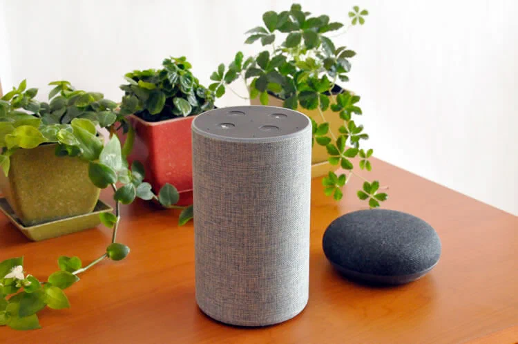Sprachassistenten von Alexa und Google Home