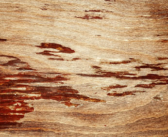Durch falsche Pflege beschädigtes Holz