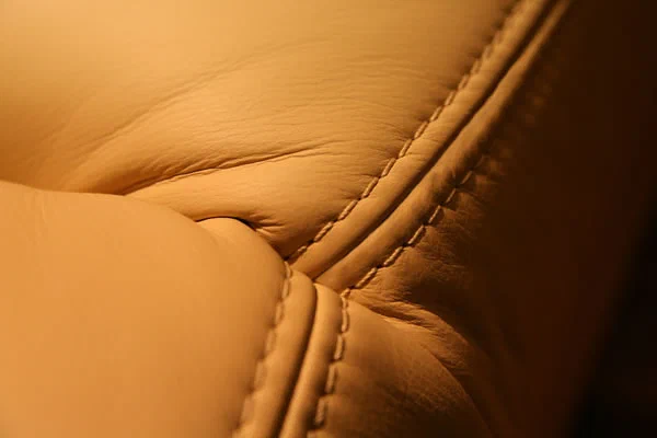 Lederpflege Sofa